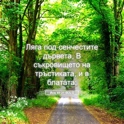 Picture 05 - Йов 40:21 BULG - Ляга под сенчестите - Bible Verse Picture