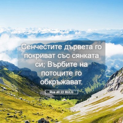 Picture 05 - Йов 40:22 BULG - Сенчестите дървета го - Bible Verse Picture