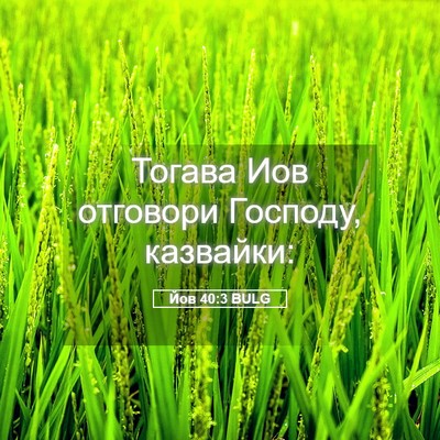 Picture 05 - Йов 40:3 BULG - Тогава Иов отговори - Bible Verse Picture