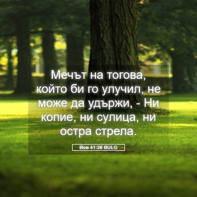 Picture 05 - Йов 41:26 BULG - Мечът на тогова, който би - Bible Verse Picture