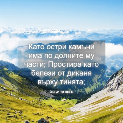 Picture 05 - Йов 41:30 BULG - Като остри камъни има по - Bible Verse Picture
