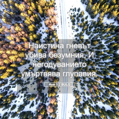 Picture 05 - Йов 5:2 BULG - Наистина гневът убива - Bible Verse Picture