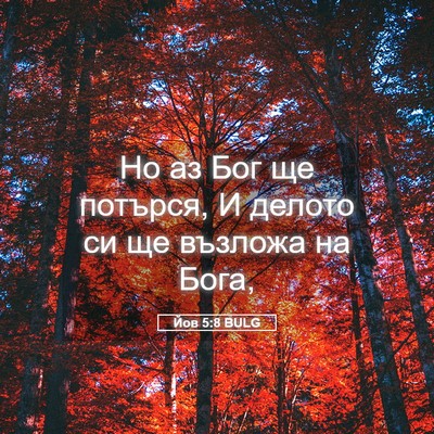 Picture 05 - Йов 5:8 BULG - Но аз Бог ще потърся, И - Bible Verse Picture