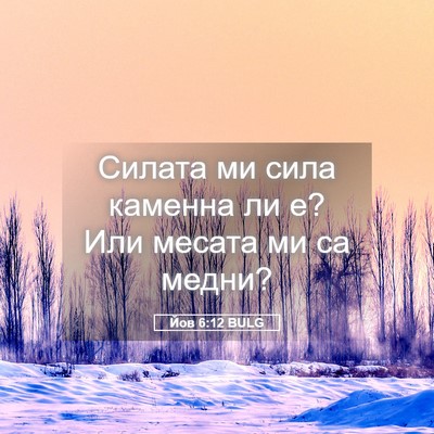 Picture 05 - Йов 6:12 BULG - Силата ми сила каменна ли - Bible Verse Picture
