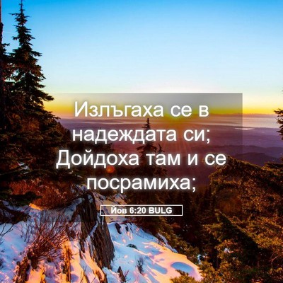 Picture 05 - Йов 6:20 BULG - Излъгаха се в надеждата си; - Bible Verse Picture