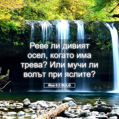 Picture 05 - Йов 6:5 BULG - Реве ли дивият осел, когато - Bible Verse Picture