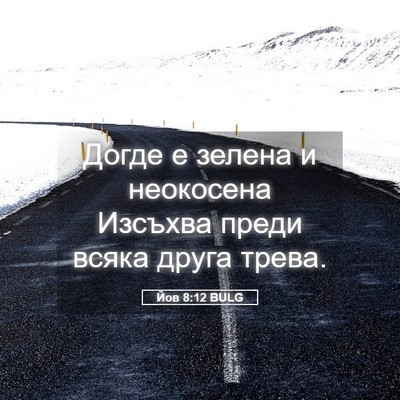 Picture 05 - Йов 8:12 BULG - Догде е зелена и неокосена - Bible Verse Picture