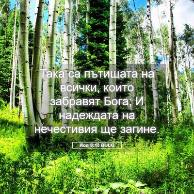 Picture 05 - Йов 8:13 BULG - Така са пътищата на всички, - Bible Verse Picture
