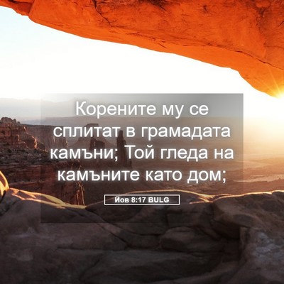 Picture 05 - Йов 8:17 BULG - Корените му се сплитат в - Bible Verse Picture