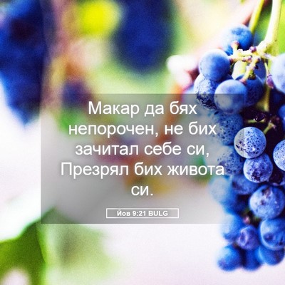 Picture 05 - Йов 9:21 BULG - Макар да бях непорочен, не - Bible Verse Picture