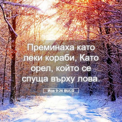 Picture 05 - Йов 9:26 BULG - Преминаха като леки - Bible Verse Picture