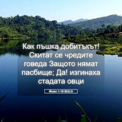Picture 05 - Йоил 1:18 BULG - Как пъшка добитъкът! - Bible Verse Picture