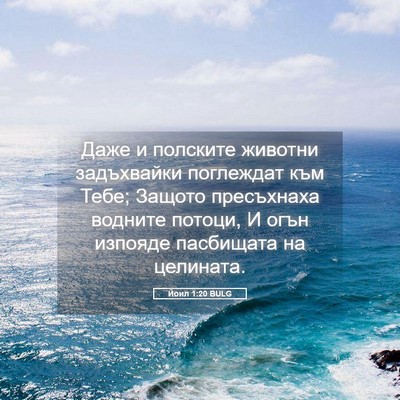 Picture 05 - Йоил 1:20 BULG - Даже и полските животни - Bible Verse Picture