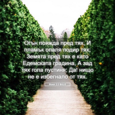 Picture 05 - Йоил 2:3 BULG - Огън пояжда пред тях, И - Bible Verse Picture