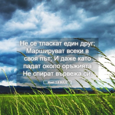 Picture 05 - Йоил 2:8 BULG - Не се тласкат един друг; - Bible Verse Picture