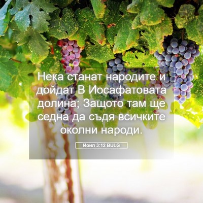 Picture 05 - Йоил 3:12 BULG - Нека станат народите и - Bible Verse Picture