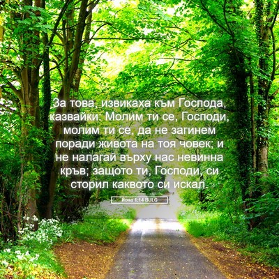 Picture 05 - Йона 1:14 BULG - За това, извикаха към - Bible Verse Picture