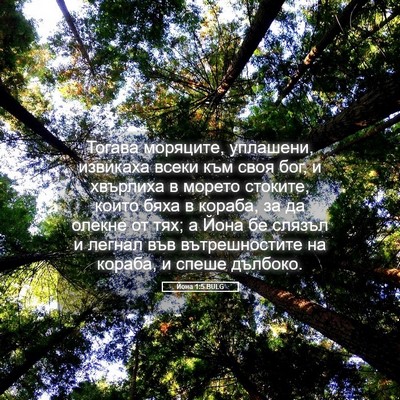 Picture 05 - Йона 1:5 BULG - Тогава моряците, уплашени, - Bible Verse Picture