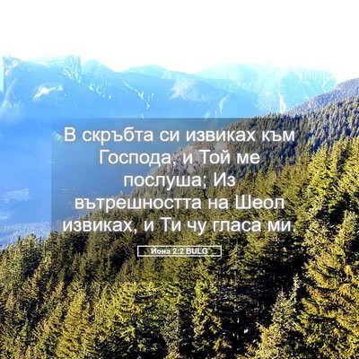 Picture 05 - Йона 2:2 BULG - В скръбта си извиках към - Bible Verse Picture