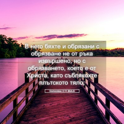 Picture 05 - Колосяни 2:11 BULG - В него бяхте и обрязани с - Bible Verse Picture