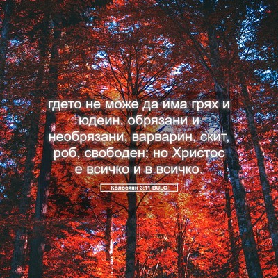 Picture 05 - Колосяни 3:11 BULG - гдето не може да има грях и - Bible Verse Picture