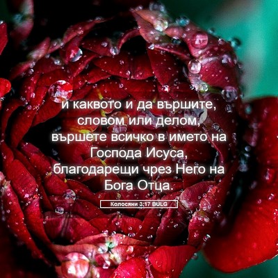 Picture 05 - Колосяни 3:17 BULG - и каквото и да вършите, - Bible Verse Picture