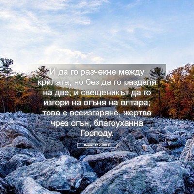 Picture 05 - Левит 1:17 BULG - И да го разчекне между - Bible Verse Picture