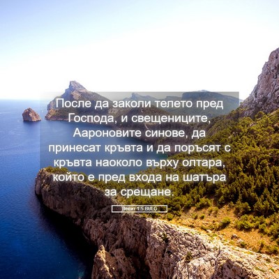 Picture 05 - Левит 1:5 BULG - После да заколи телето - Bible Verse Picture