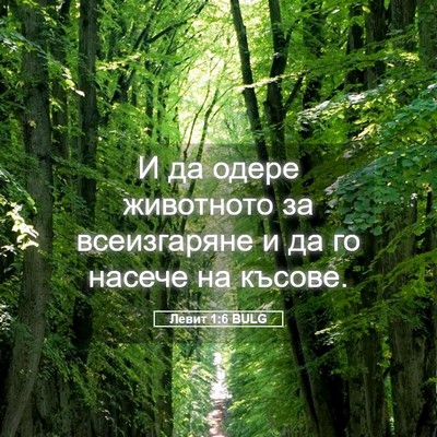 Picture 05 - Левит 1:6 BULG - И да одере животното за - Bible Verse Picture