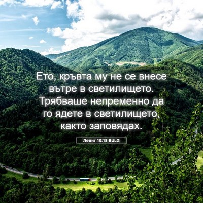 Picture 05 - Левит 10:18 BULG - Ето, кръвта му не се внесе - Bible Verse Picture