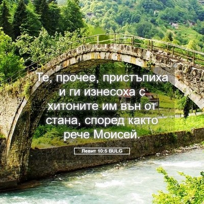 Picture 05 - Левит 10:5 BULG - Те, прочее, пристъпиха и ги - Bible Verse Picture