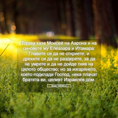 Picture 05 - Левит 10:6 BULG - Тогава каза Моисей на - Bible Verse Picture