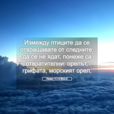 Picture 05 - Левит 11:13 BULG - Измежду птиците да се - Bible Verse Picture