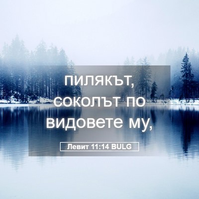 Picture 05 - Левит 11:14 BULG - пилякът, соколът по - Bible Verse Picture