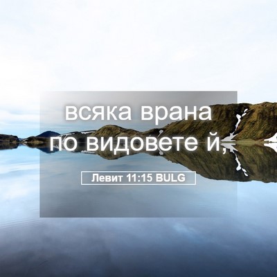 Picture 05 - Левит 11:15 BULG - всяка врана по видовете - Bible Verse Picture