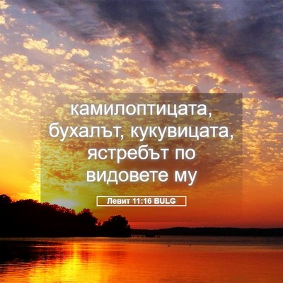 Picture 05 - Левит 11:16 BULG - камилоптицата, бухалът, - Bible Verse Picture