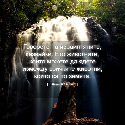 Picture 05 - Левит 11:2 BULG - Говорете на израилтяните, - Bible Verse Picture