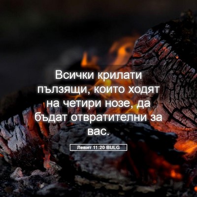 Picture 05 - Левит 11:20 BULG - Всички крилати пълзящи, - Bible Verse Picture
