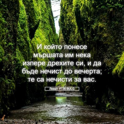 Picture 05 - Левит 11:28 BULG - И който понесе мършата им - Bible Verse Picture