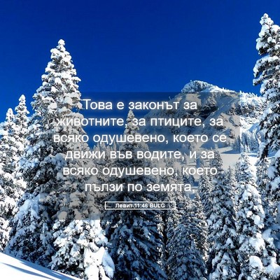 Picture 05 - Левит 11:46 BULG - Това е законът за - Bible Verse Picture