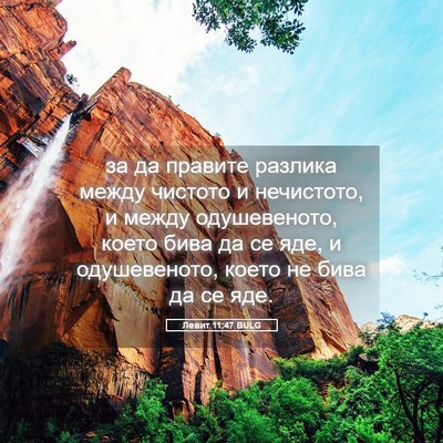 Picture 05 - Левит 11:47 BULG - за да правите разлика - Bible Verse Picture