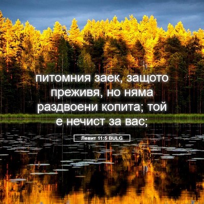 Picture 05 - Левит 11:5 BULG - питомния заек, защото - Bible Verse Picture
