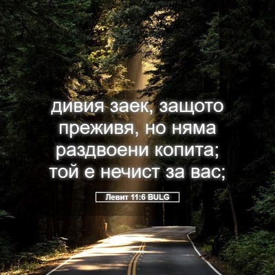 Picture 05 - Левит 11:6 BULG - дивия заек, защото преживя, - Bible Verse Picture