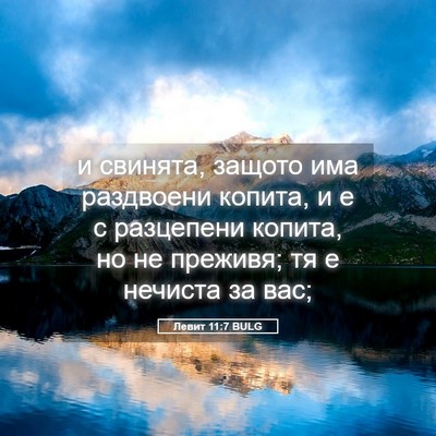 Picture 05 - Левит 11:7 BULG - и свинята, защото има - Bible Verse Picture