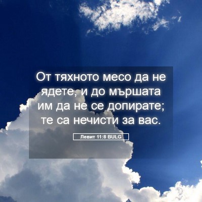 Picture 05 - Левит 11:8 BULG - От тяхното месо да не - Bible Verse Picture