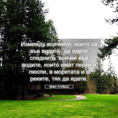 Picture 05 - Левит 11:9 BULG - Измежду всичките, които са - Bible Verse Picture
