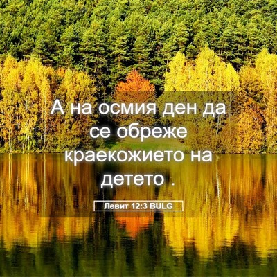 Picture 05 - Левит 12:3 BULG - А на осмия ден да се обреже - Bible Verse Picture