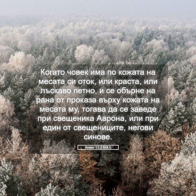 Picture 05 - Левит 13:2 BULG - Когато човек има по кожата - Bible Verse Picture