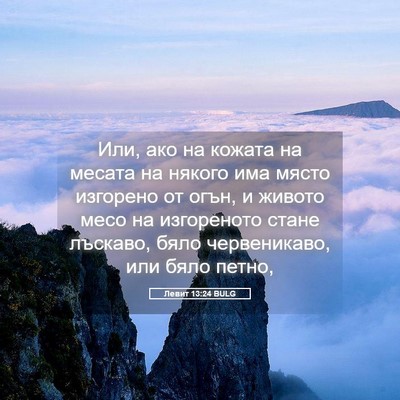 Picture 05 - Левит 13:24 BULG - Или, ако на кожата на - Bible Verse Picture