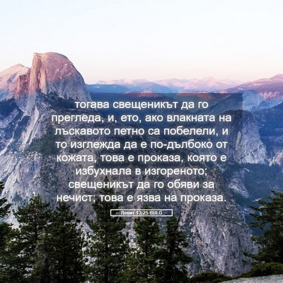 Picture 05 - Левит 13:25 BULG - тогава свещеникът да го - Bible Verse Picture